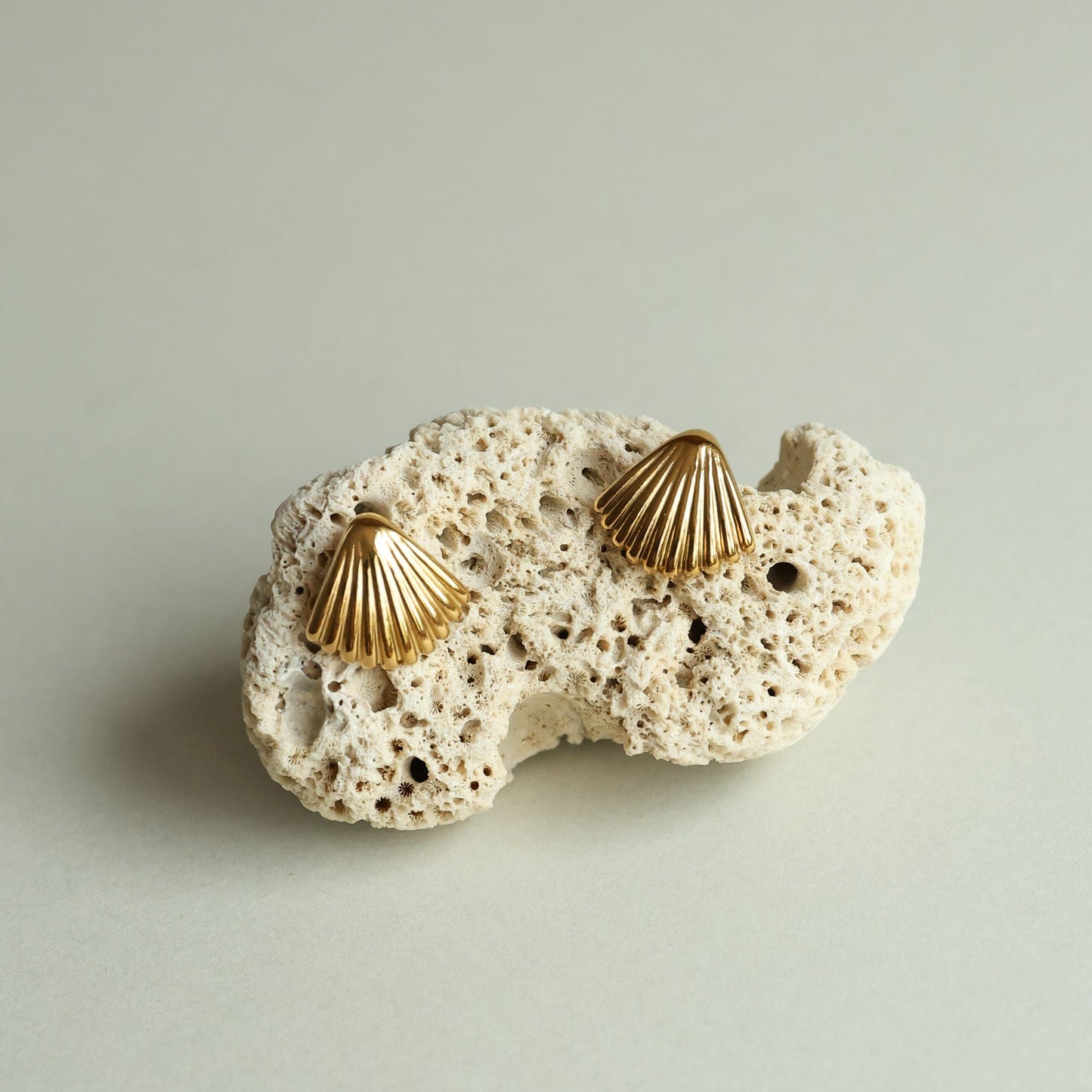 Seashell Pendientes