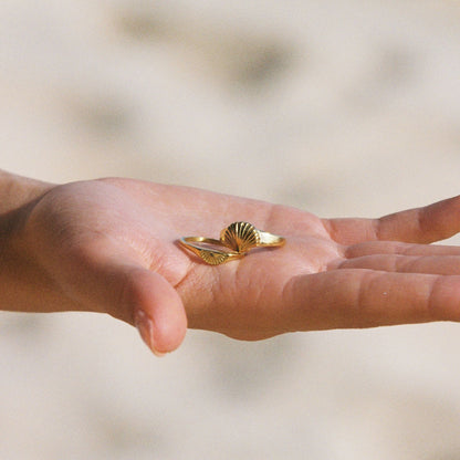 Concha Anillo